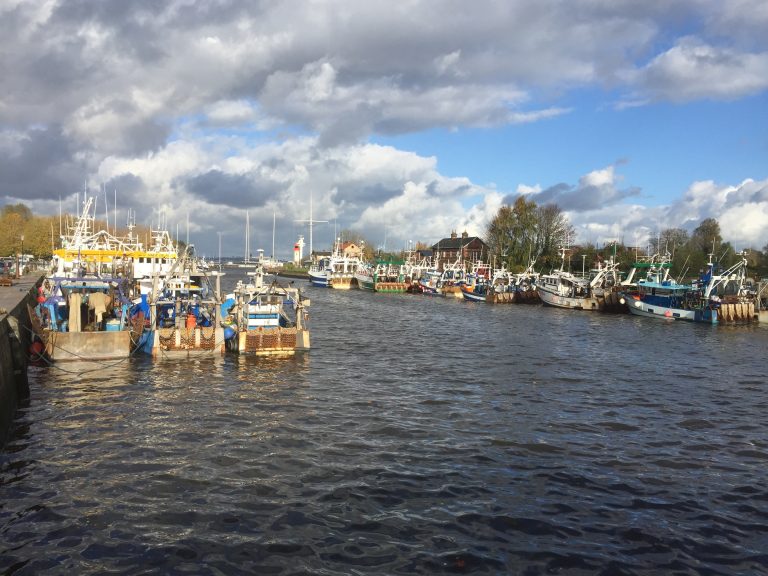 Ouverture de la pêche à la coquille à l’intérieur de la zone des 12 miles