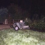 IMG_4130 (1)