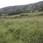 Rapport A14.032 FF La Rivière Saint-Sauveur printemps 2014 – copie
