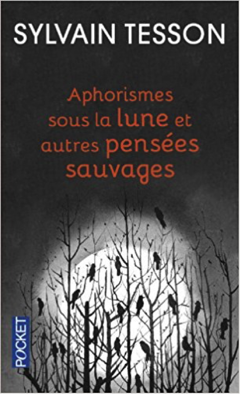 « Aphorismes sous la lune et autres pensées sauvages » de Sylvain Tesson