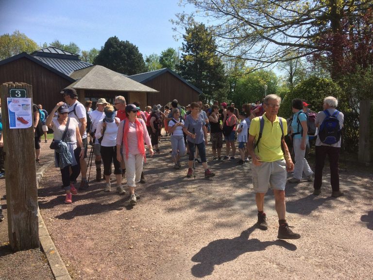 Un demi-millier de participants au parcours du cœur de Gonneville-sur-Honfleur.