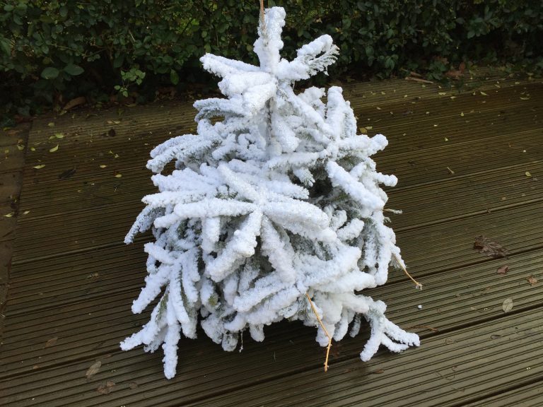 Que faire de votre sapin de Noël ?
