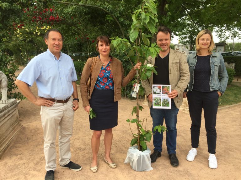 Passionnément jardin : Anne-Marie Gault remporte un superbe « Cornus Venus »