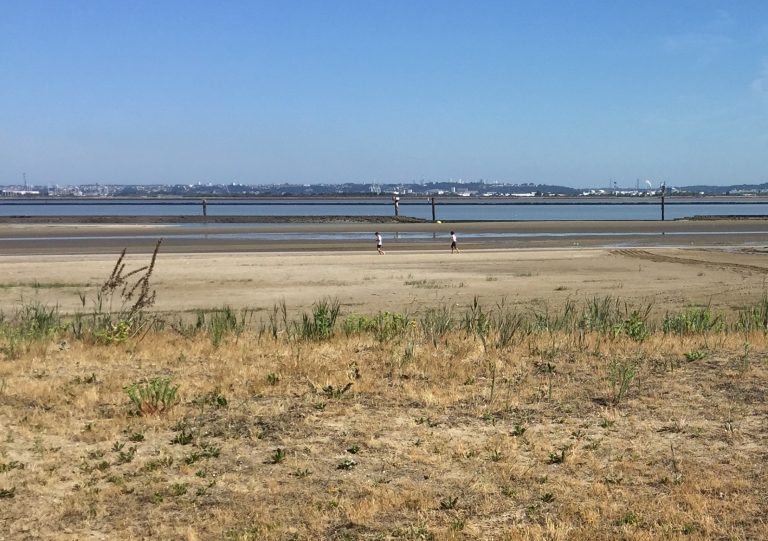 Trois personnes sauvées de la noyade sur la plage de Honfleur