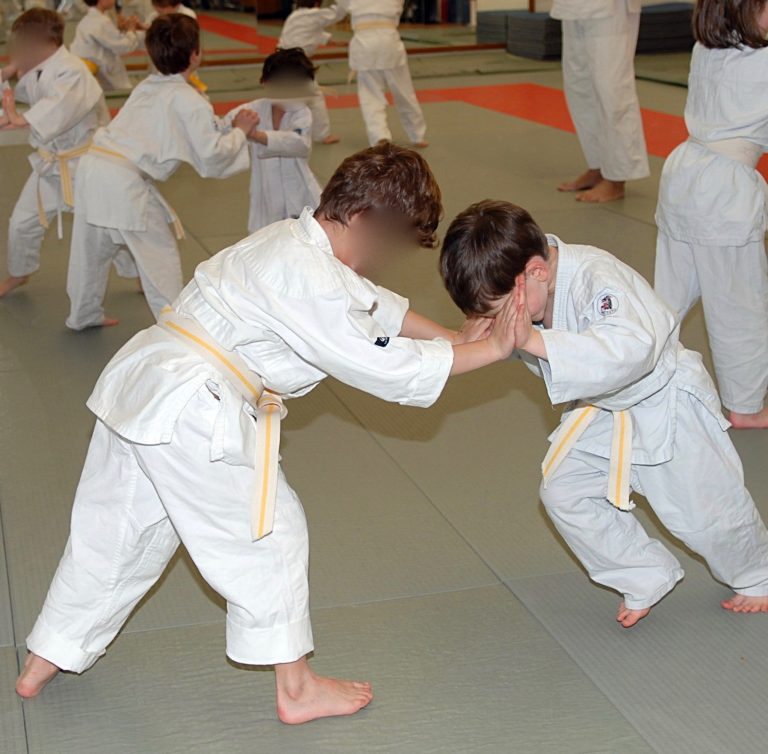 Reprise pour le Judo-Sambo Club Honfleur