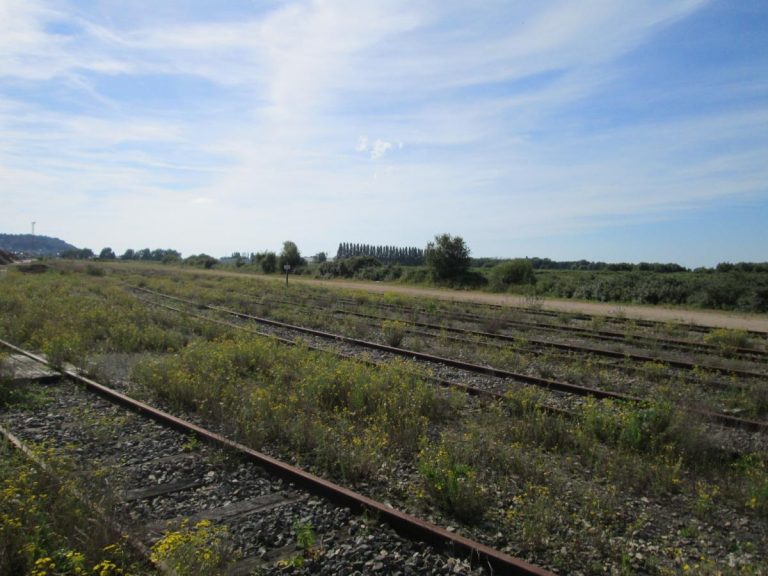 Conseil Municipal : Michel Lamarre veut rouvrir la ligne de chemin de fer Glos/Montfort –Honfleur