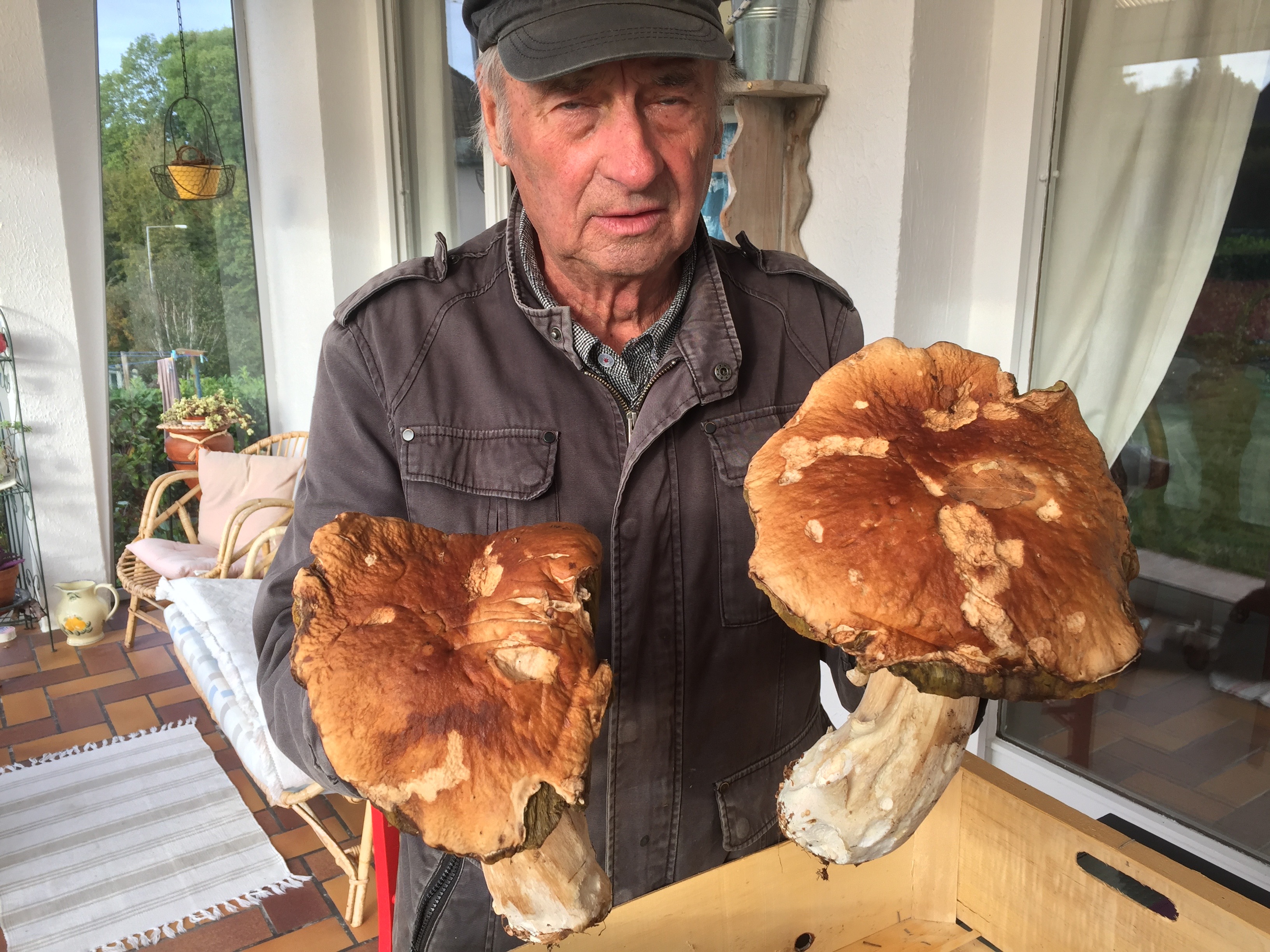 Champignon en bois rouge & blanc - Forêt - Bobidibou