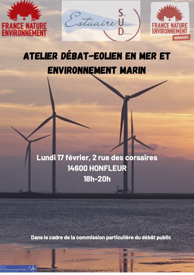 Conférence-débat sur l’implantation d’éoliennes en mer.