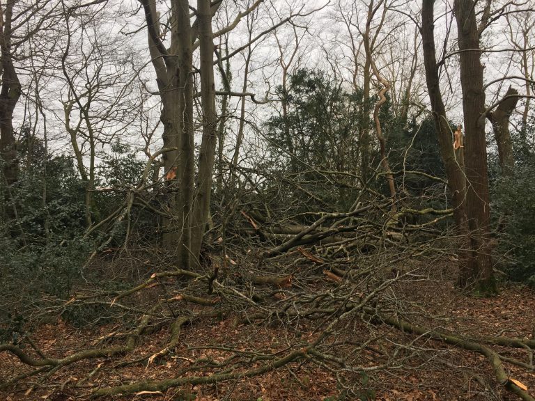Un vent violent s’est abattu sur Honfleur et sa région