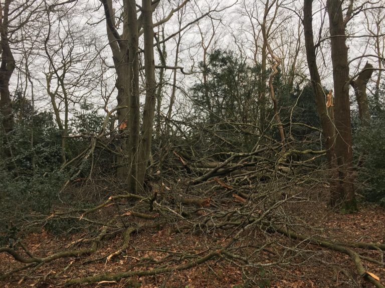 Un vent violent s’est abattu sur Honfleur et sa région