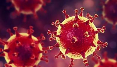 Coronavirus : Le point sur la situation en Normandie le 26 Avril…