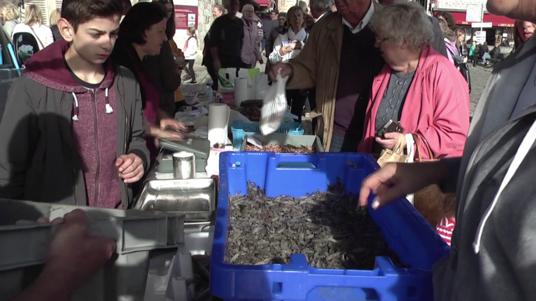 La fête de la Crevette et de la Pêche aura bien lieu, mais sous certaines conditions…