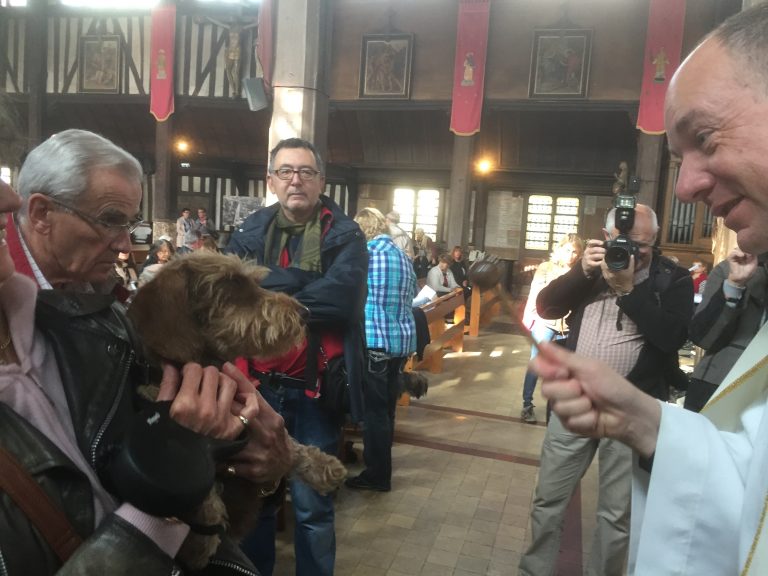 Bénédiction des animaux ce dimanche à Honfleur : un poney à l’honneur