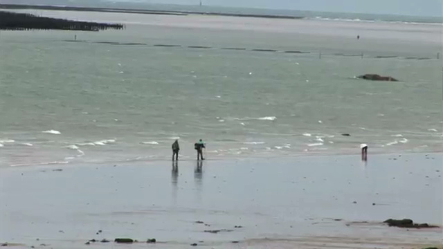 La pêche à pied de loisir autorisée à partir du 28 Novembre