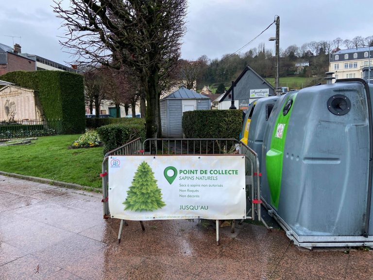 La CCPH-B met en place des lieux d’apports volontaires pour les sapins