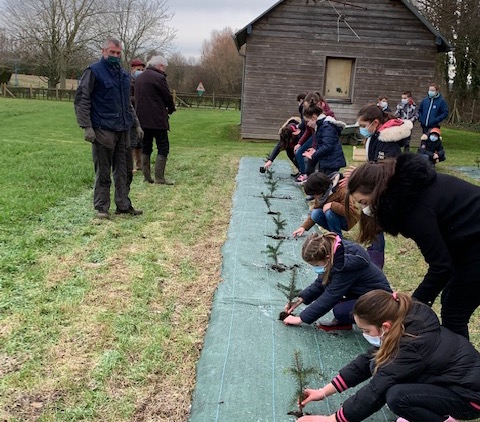 Gonneville-sur-Honfleur : les élèves de CM1 – CM2 plantent des sapins pour l’avenir