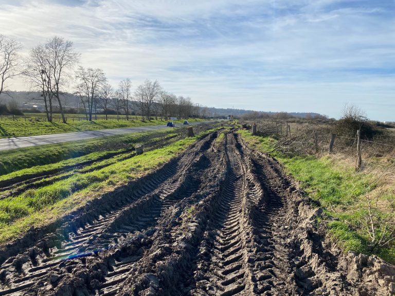 « Les arbres de la Route Départementale sur la RD 580 étaient malades… »