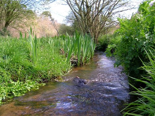 Lancement d’une étude des cours d’eau sur le domaine de la CCPH-B