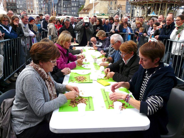 27ème Édition de la Fête de la Crevette et de la Pêche de Honfleur « Concours d’affiche 2021″…