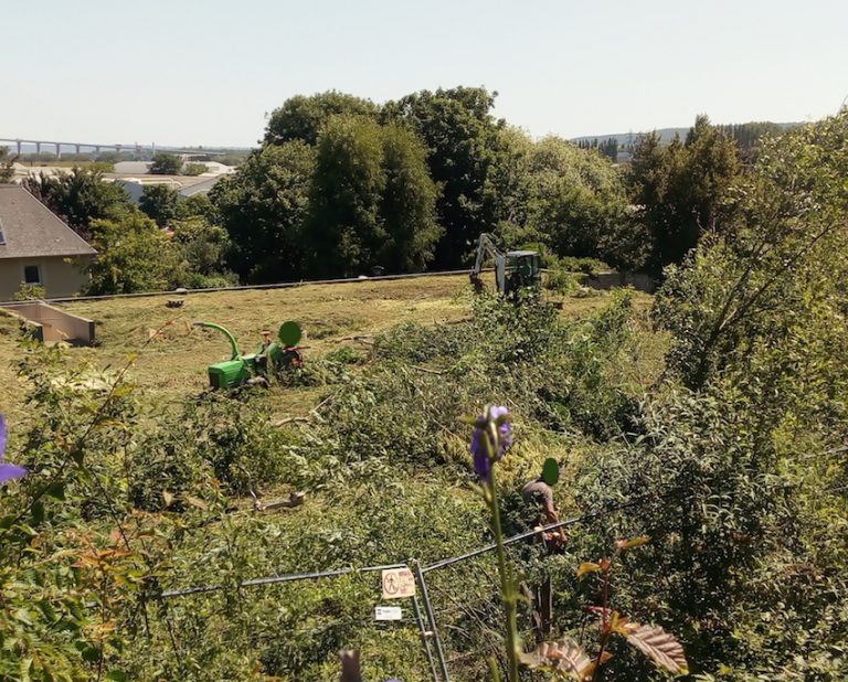 Le nettoyage d’une friche de la Route Emile Renouf met en colère les écologistes honfleurais