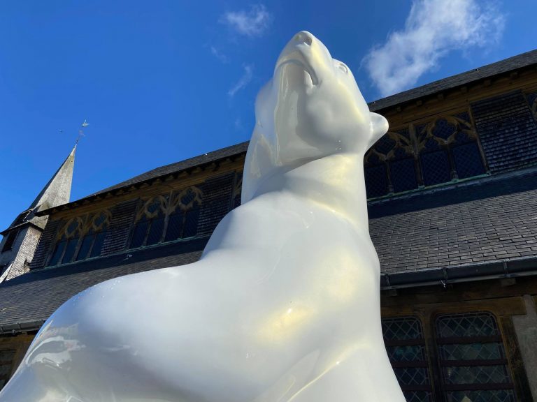 Exposition « de Honfleur au Grand Nord » par Rémy Marion