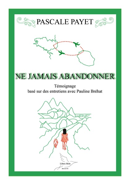 « Il ne faut jamais abandonner » de Pauline Bréhat