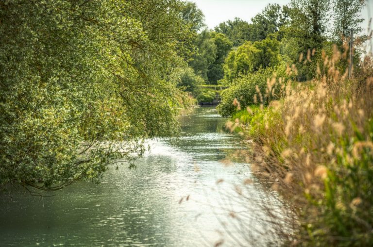 Bords de Seine en folie à Berville-sur-Mer