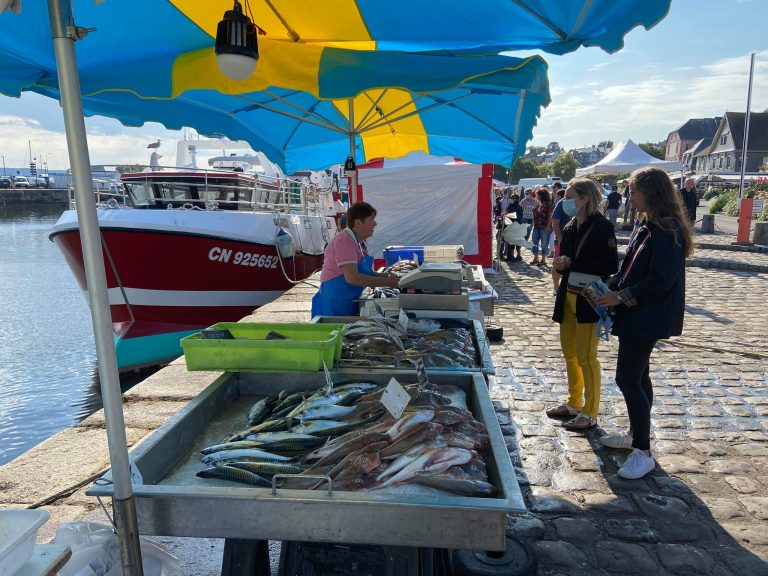 Une fête de la crevette sans la  « Petite Grise » mais avec du poisson…