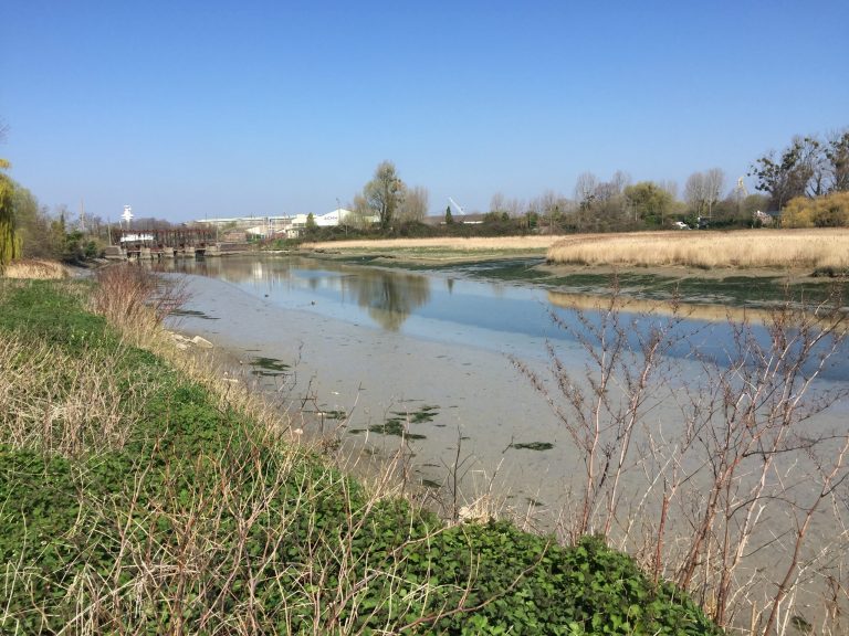 La ville de Honfleur candidate pour un label « Territoires Engagés pour la Nature »