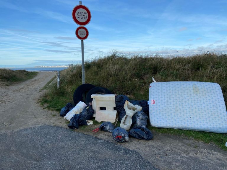 Décharge sauvage à Pennedepie