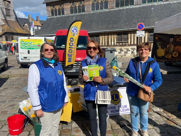 Des roses jaunes contre la maladie d’Alzheimer