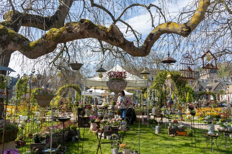 La pluie perturbe le salon « Passionnément Jardin »