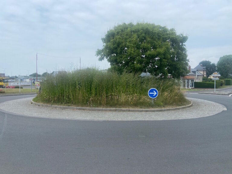 Fauchage raisonné sur la commune d’Equemauville ? 