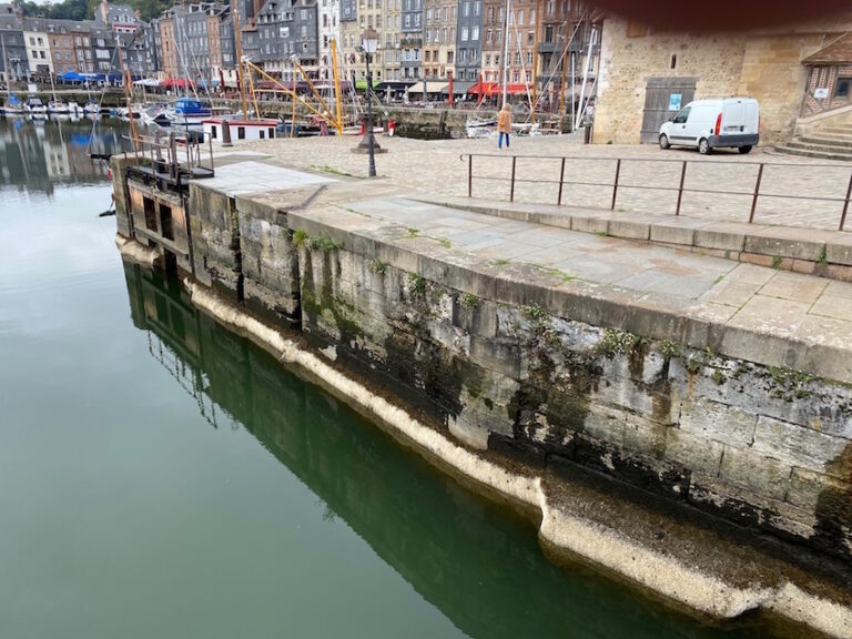 Comment lutter contre la gale dans le port de Honfleur ?