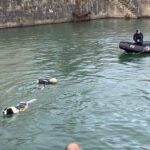 Chiens sauteurs