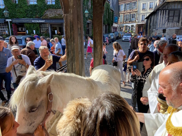 Nouveau succès pour la bénédiction d’animaux à Honfleur…