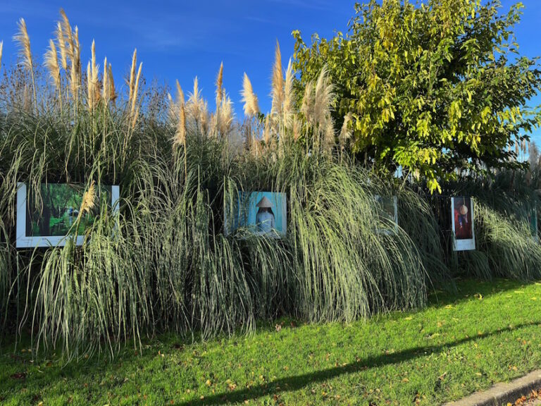 Honfleur : La nature envahie l’expo photo de la jetée Ouest