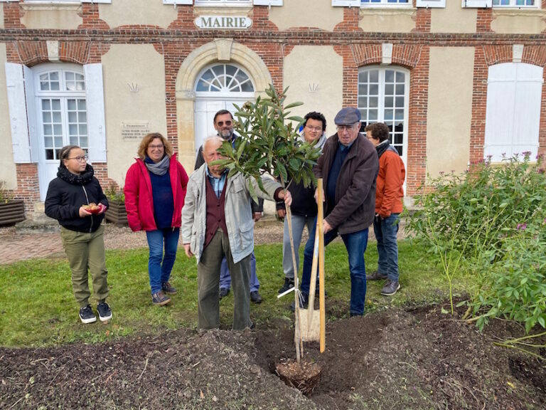 Équemauville : Deux néfliers pour les 1000 ans de la commune..