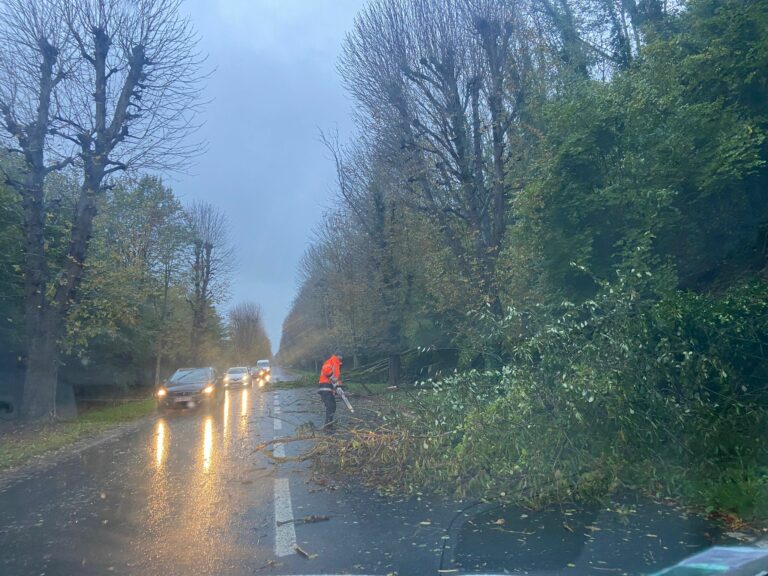 Tempête Ciaran : Arbres et toitures arrachés dans le Calvados