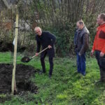 Plantation d’un poirier