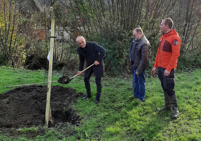 La Rivière Saint-Sauveur : plantation d’un poirier en espace public