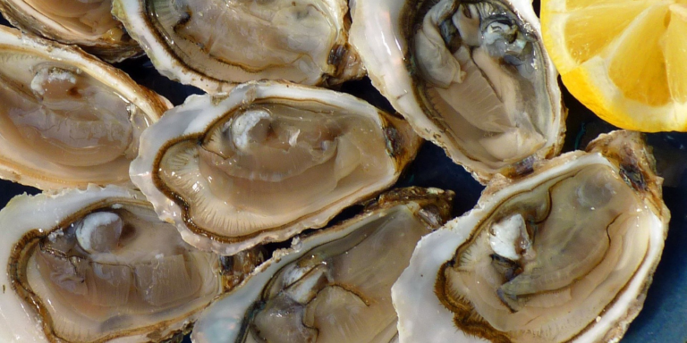 Le préfet du Calvados interdit la vente de coquillages sur certaines zones…