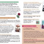 prog Noel 2023 – copie