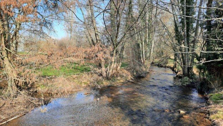 Fourneville : Pourquoi de l’eau verte dans la rivière l’Orange..?