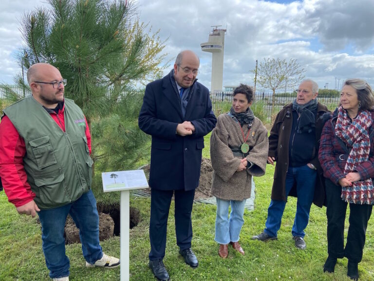 Honfleur : Passionnément jardin, un salon qui pousse… !