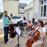 Violonselle