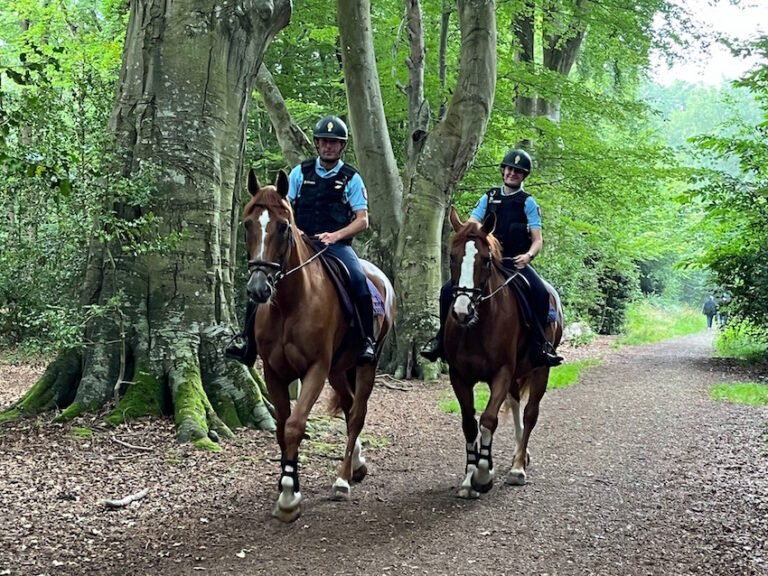 Honfleur : Mission de surveillance dans le bois du Breuil pour les gendarmes à cheval…