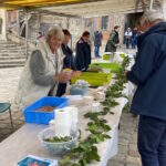 Vente de crevettes