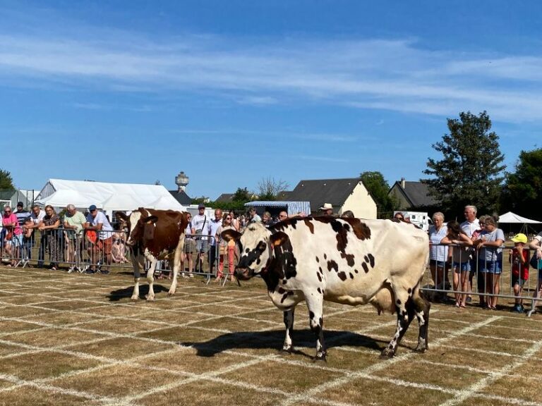 Equemauville : Marguerite et Célestine, les stars du loto bouse pendant la Fête des Blés