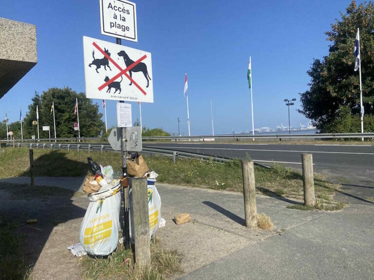 Honfleur-Vasouy : la plage est interdite aux animaux pendant la période estivale.